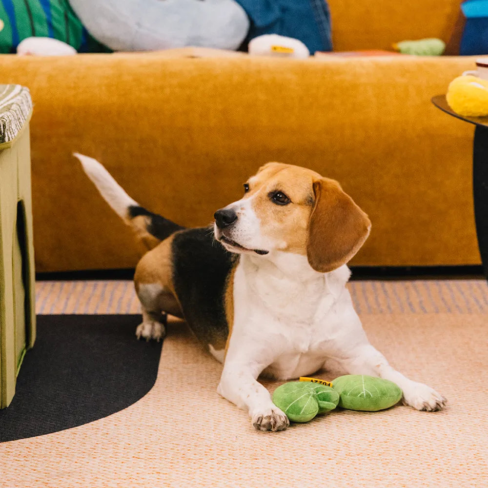 Plush Leaf-Shaped Squeaky Dog Toy - Funnyfuzzy Snu