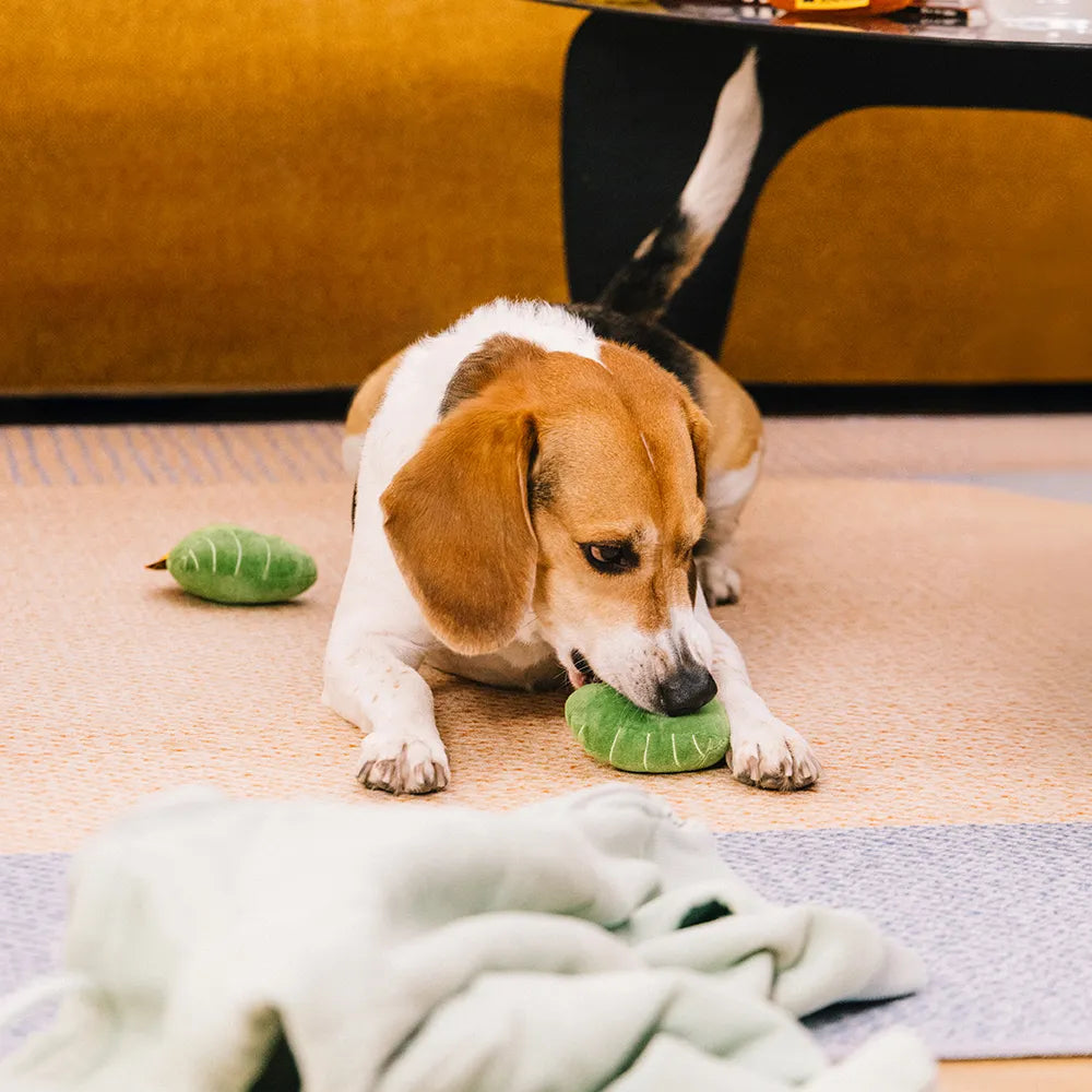 Plush Leaf-Shaped Squeaky Dog Toy - Funnyfuzzy Snu
