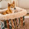 Large Reversible All-Season Indie Boho Pet Carrier