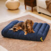 Large Washable Creamy Cozy Flat Dog Beds - Cheesec