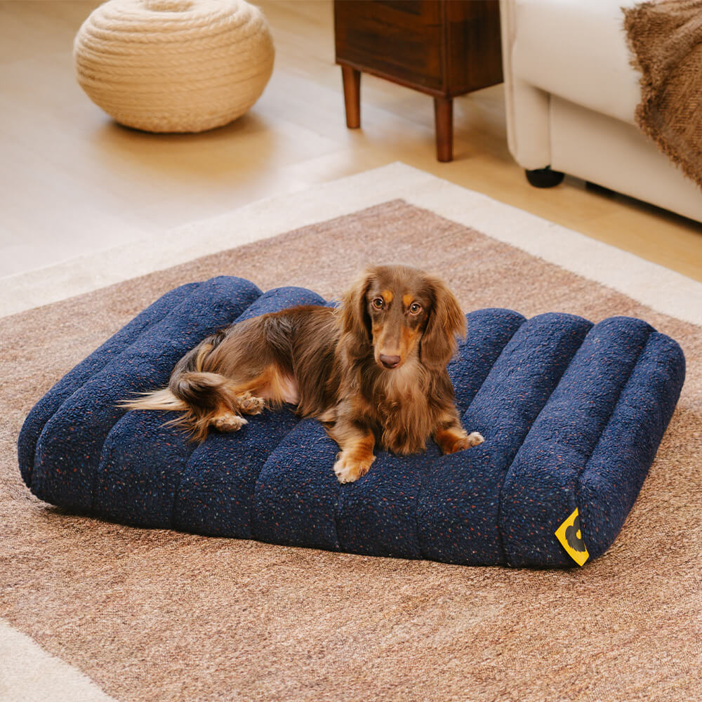 Large Washable Creamy Cozy Flat Dog Beds - Cheesec
