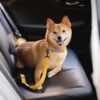 Car Seat Belt Buffer Adjustable Cool Dog Accessori