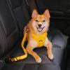 Car Seat Belt Buffer Adjustable Cool Dog Accessori