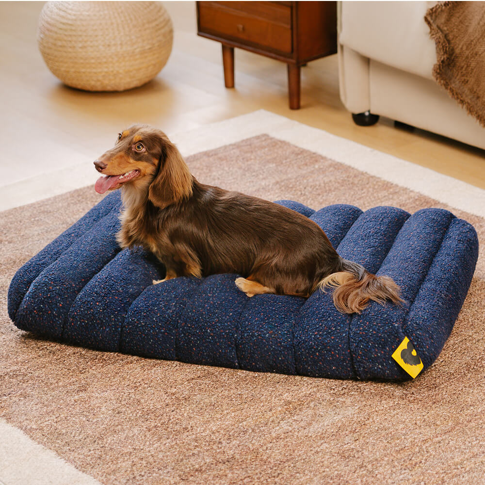 Large Washable Creamy Cozy Flat Dog Beds - Cheesec