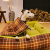 Large Washable Vintage Tartan Folding Blanket Dog 