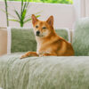 All-Season Anti-Slip Striped Pet Rug Furniture Pro