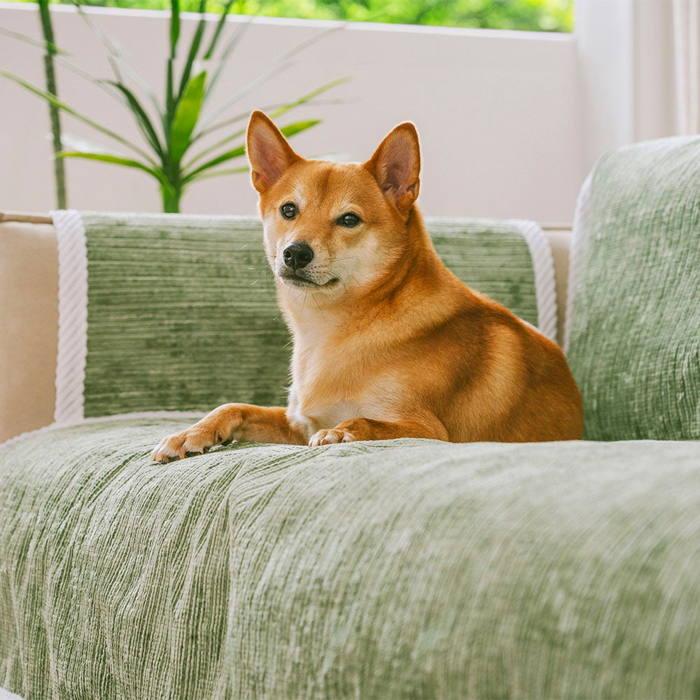 All-Season Anti-Slip Striped Pet Rug Furniture Pro