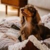 Washable Anti-Scratch Boho Tassel Calming Round Do
