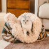 Large Reversible All-Season Indie Boho Cat Carrier