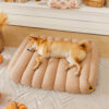 Large Washable Creamy Cozy Flat Dog Beds - Cheesec