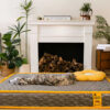 Hooman Innerspring Coils Orthopedic Human Dog Bed 