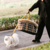 2 in 1 Large All-Season Pet Carrier and Dog Sleepi