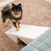 2-in-1 Convertible Wooden Home Step Stool Dog Ramp
