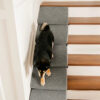 Modular Foam Dog Ramp Stairs for Staircase Stairs 