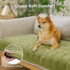 Scratch-proof All-season Stain-resistant Couch Co