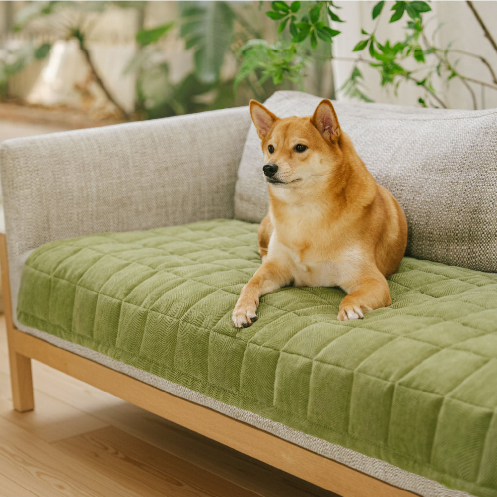 Scratch-proof All-season Stain-resistant Couch Co