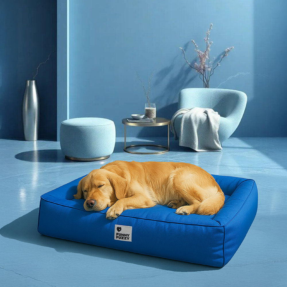 Fully Orthopedic Surround Support Waterproof Large