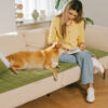 Scratch-proof All-season Stain-resistant Couch Co