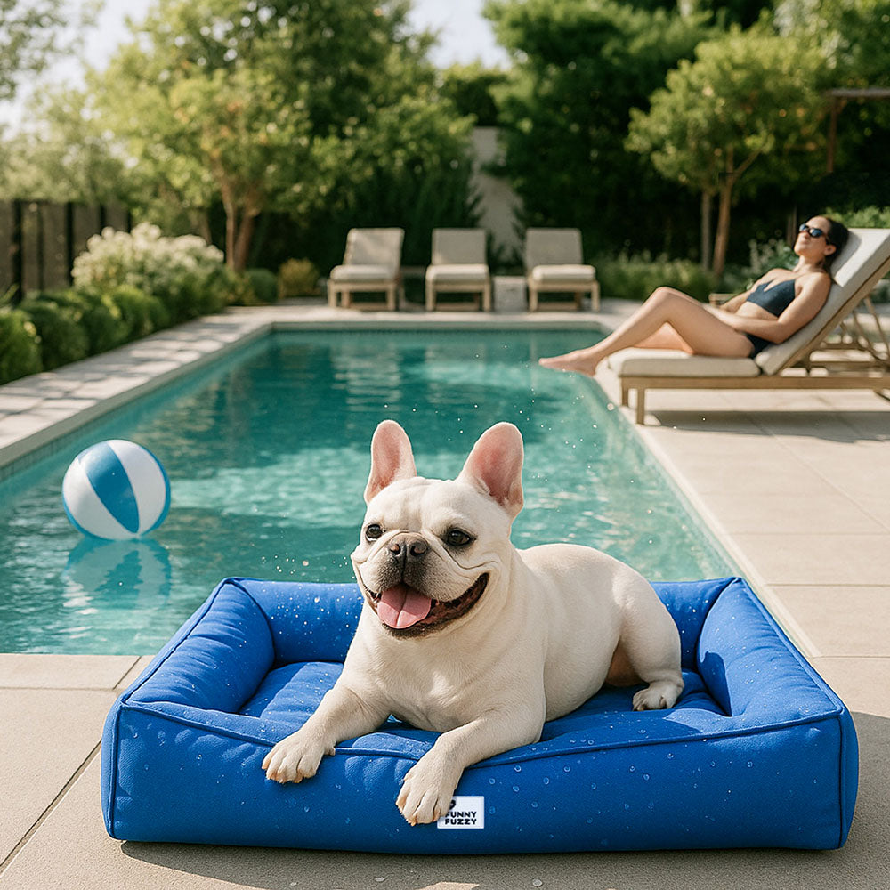 Fully Orthopedic Surround Support Waterproof Large