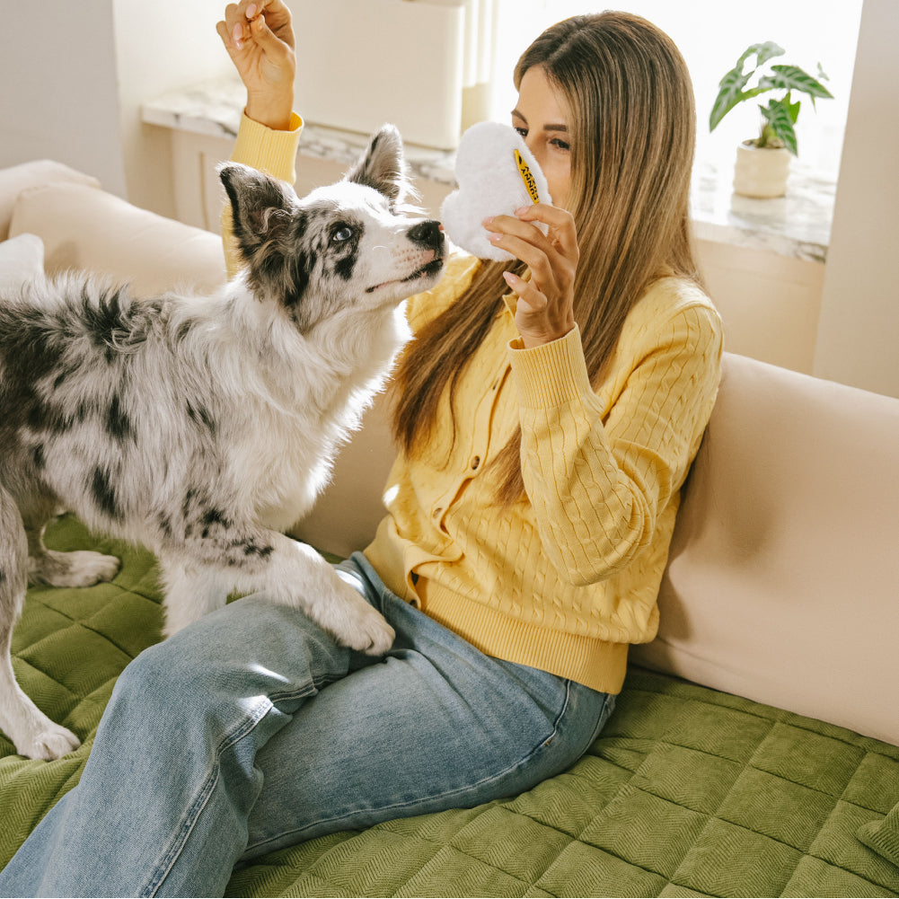 Scratch-proof All-season Stain-resistant Couch Co