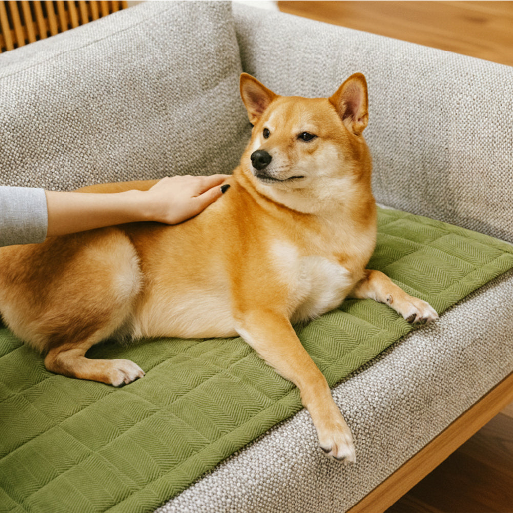 Scratch-proof All-season Stain-resistant Couch Co