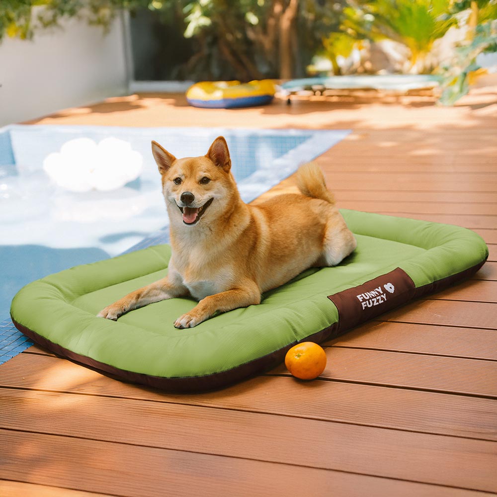Outdoor Waterproof & Chew-proof Memory Foam Orthop