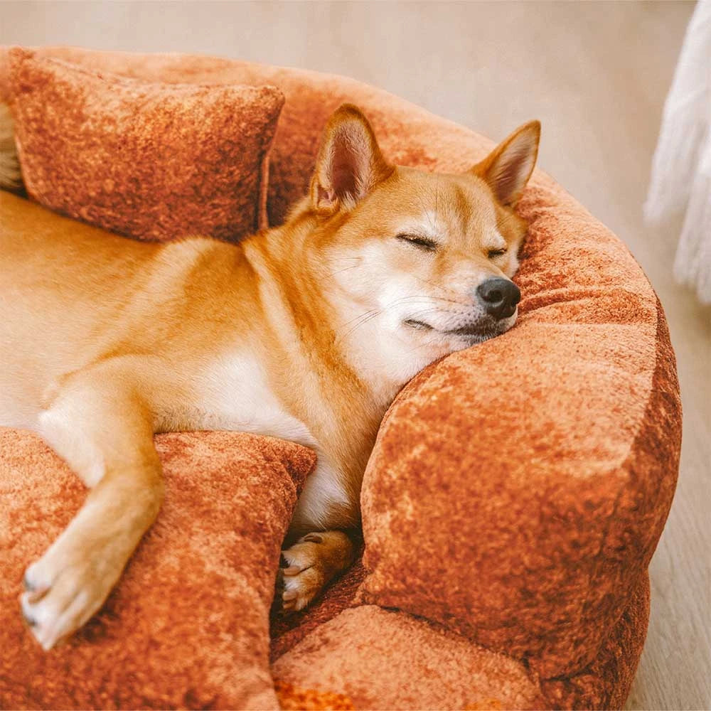 Luxe Diamond Velvet Removable Orthopedic Donut Dog