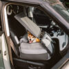 Waterproof Breathable Dog Booster Car Seat- Pup Ro