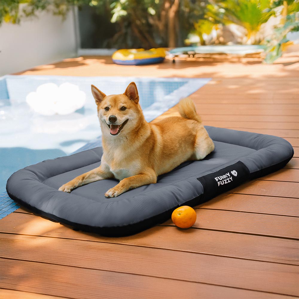 Outdoor Waterproof & Chew-proof Memory Foam Orthop