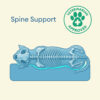 Fully Orthopedic Surround Support Waterproof Large