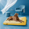 Extra Large Cooling Washable Rectangle Orthopedic 