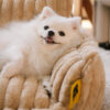 Large Washable Fluffy Orthopedic Soft Dog Pillow D