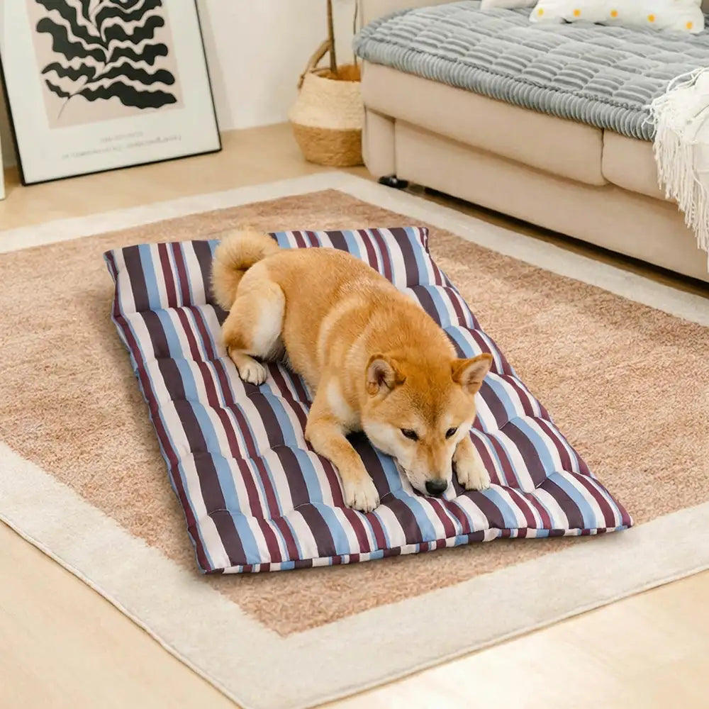All-Season Breathable Double-Sided Neck Support Pillow Dog Bed - Image 15