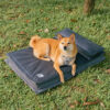 Anti-Anxiety with Sponge Support Deep Sleeping Dog