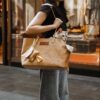 Vogue Eco-friendly Multi-functional Pet Travel Bag