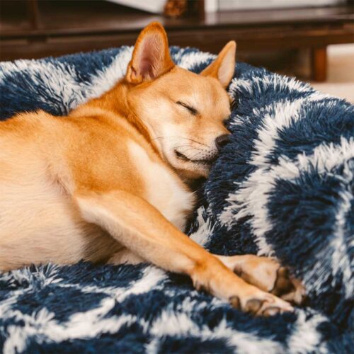 Classic Plaid Orthopedic Bolster Dog Sofa Bed - Co