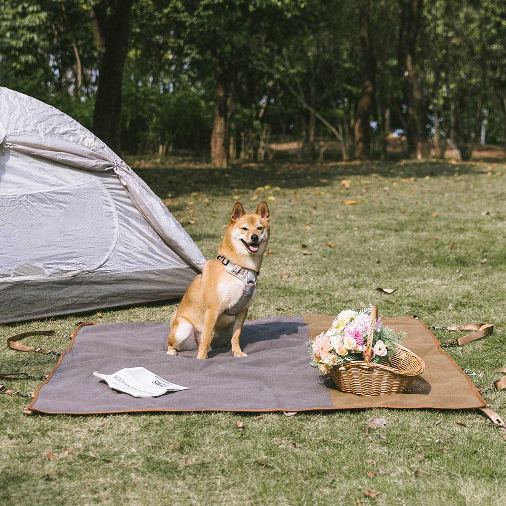 Classic Retro - Waterproof Camping & Car Dual-Use