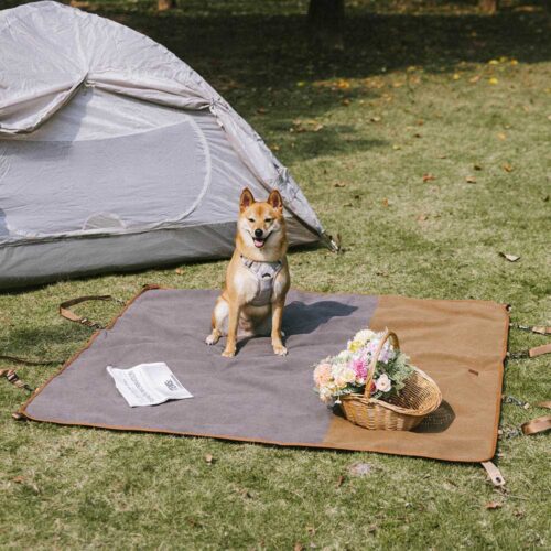 Classic Retro - Waterproof Camping & Car Dual-Use 