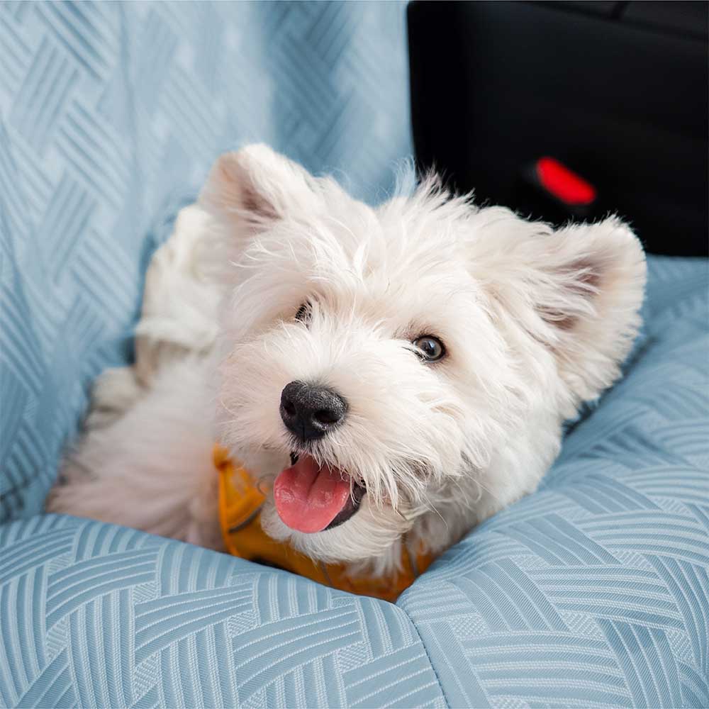 Cooling Travel Bolster Safety Back Seat Large Dog
