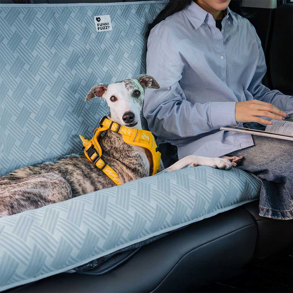 Cooling Travel Bolster Safety Back Seat Large Dog