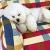 Cotton Canvas Fabric Breathable Scratch-Resistant 