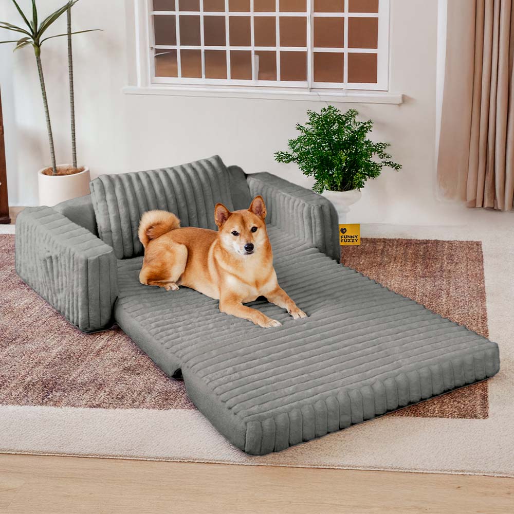 Creamy Fluffy Orthopedic Human-Dog Bolster Bed - E