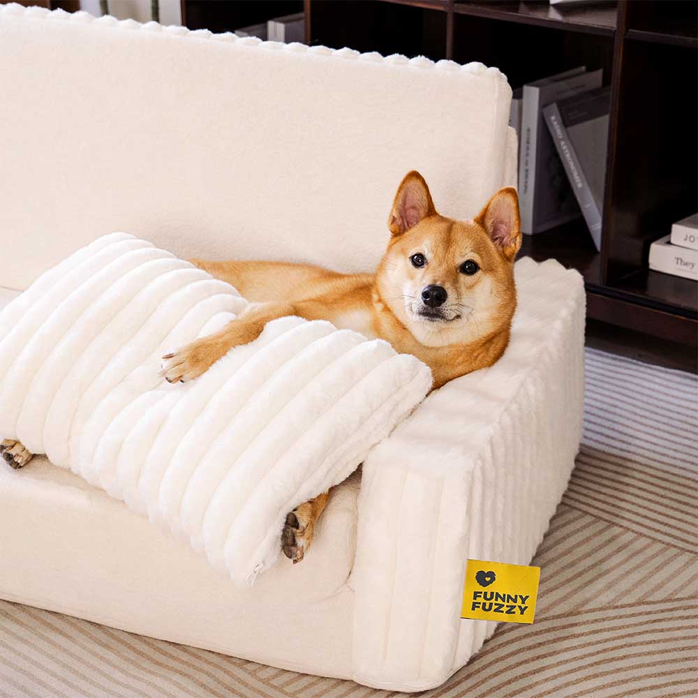 Creamy Fluffy Orthopedic Human-Dog Bolster Bed - E