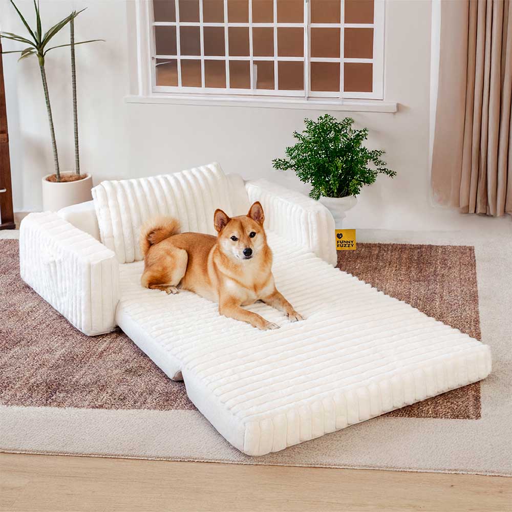 Creamy Fluffy Orthopedic Human-Dog Bolster Bed - E