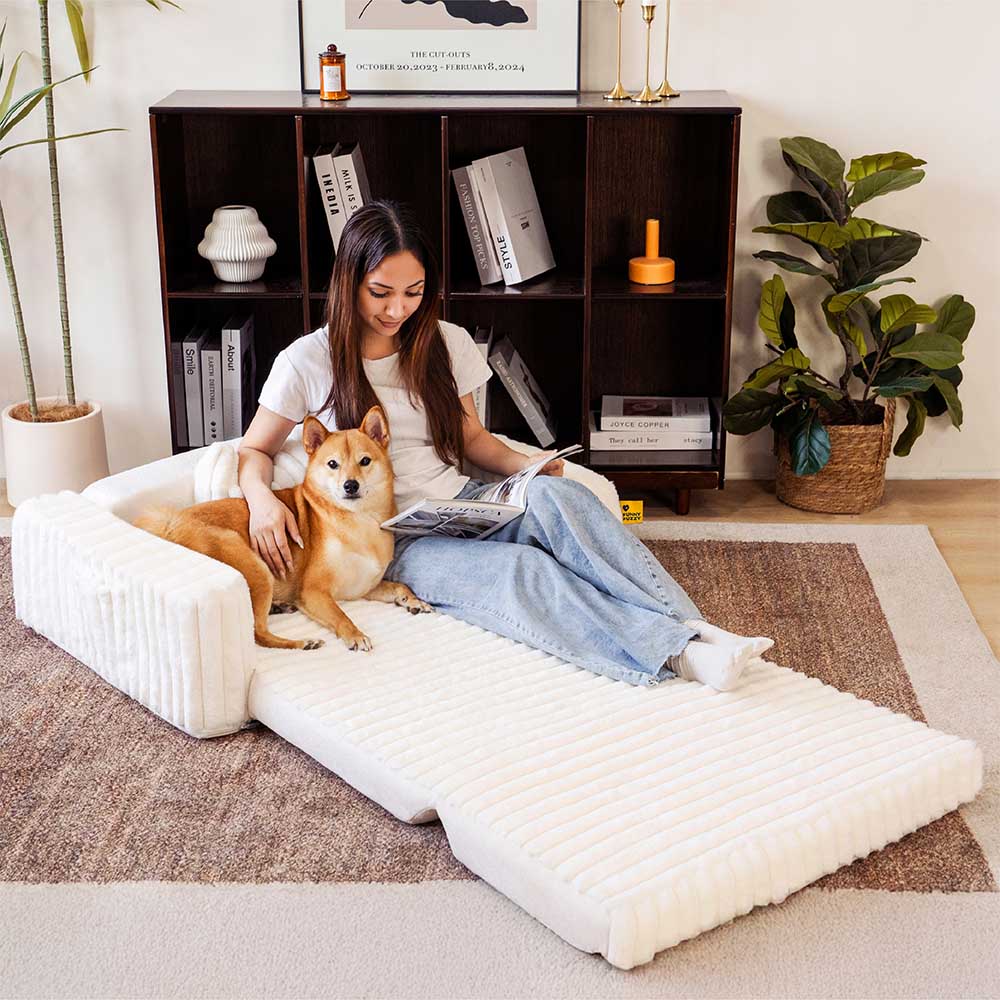 Creamy Fluffy Orthopedic Human-Dog Bolster Bed - E