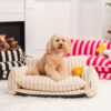 Trendy Striped Faux Lambswool Double Layer Dog & C