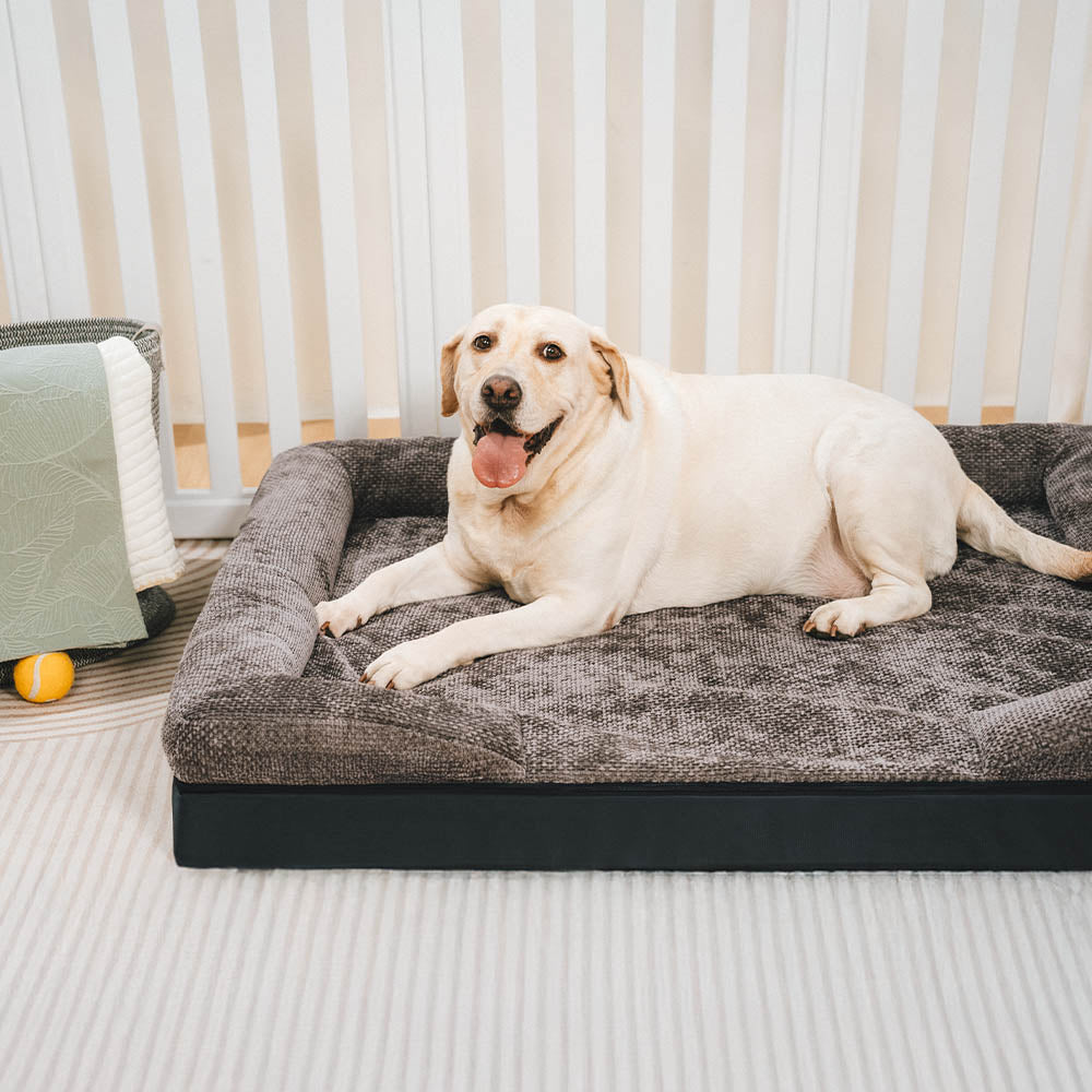 Spacious Cozy Durable Orthopedic Washable Dog & Ca