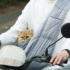 Safety Comfortable Soft Warm Outdoor Dog & Cat Car