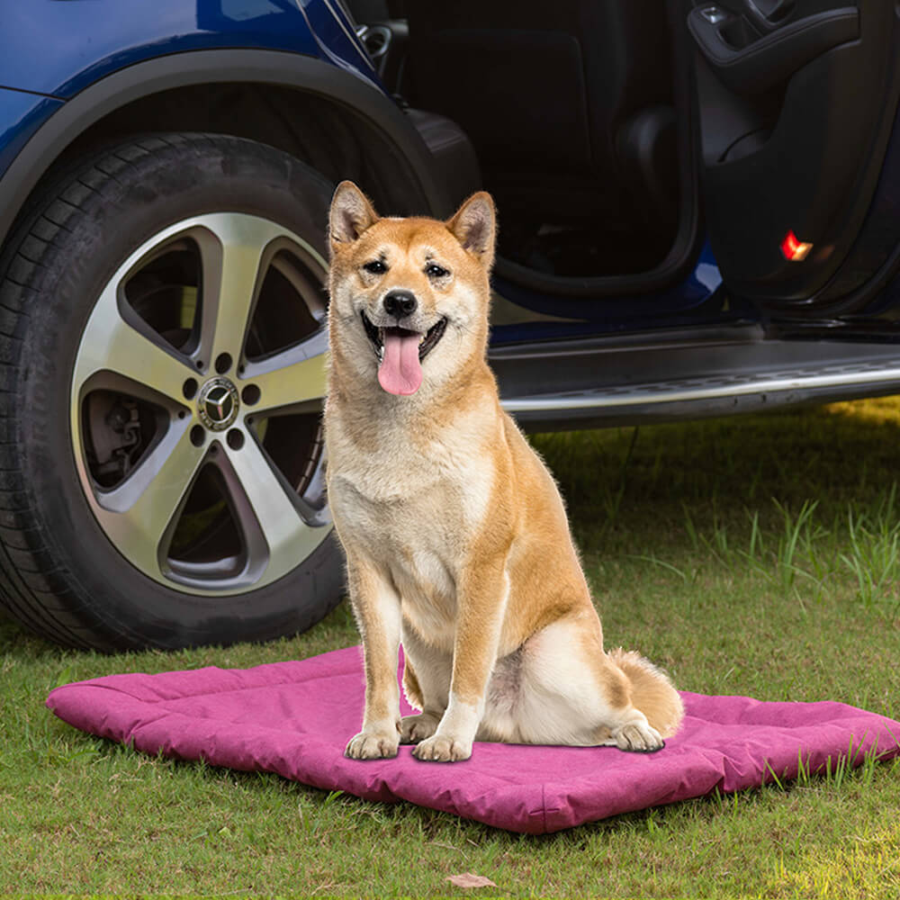 Outdoor Utility Style Waterproof Foldable Pet Mat