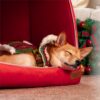 Festive Snow House Orthopedic Dog Bed - Christmas